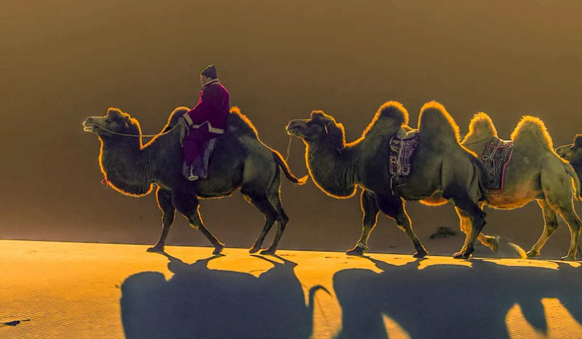 Gobi desert