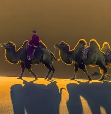 Gobi desert