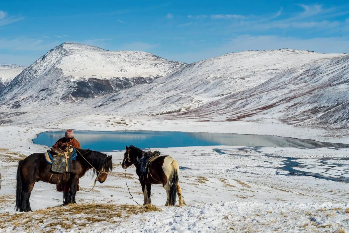 Horse ride trial