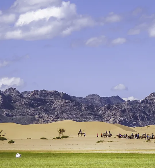 Mongolian Gobi desert
