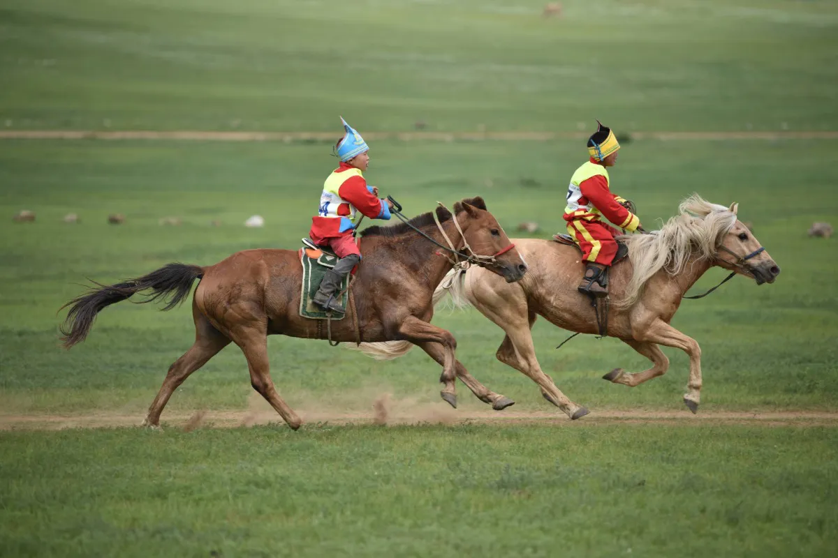 Horse racing