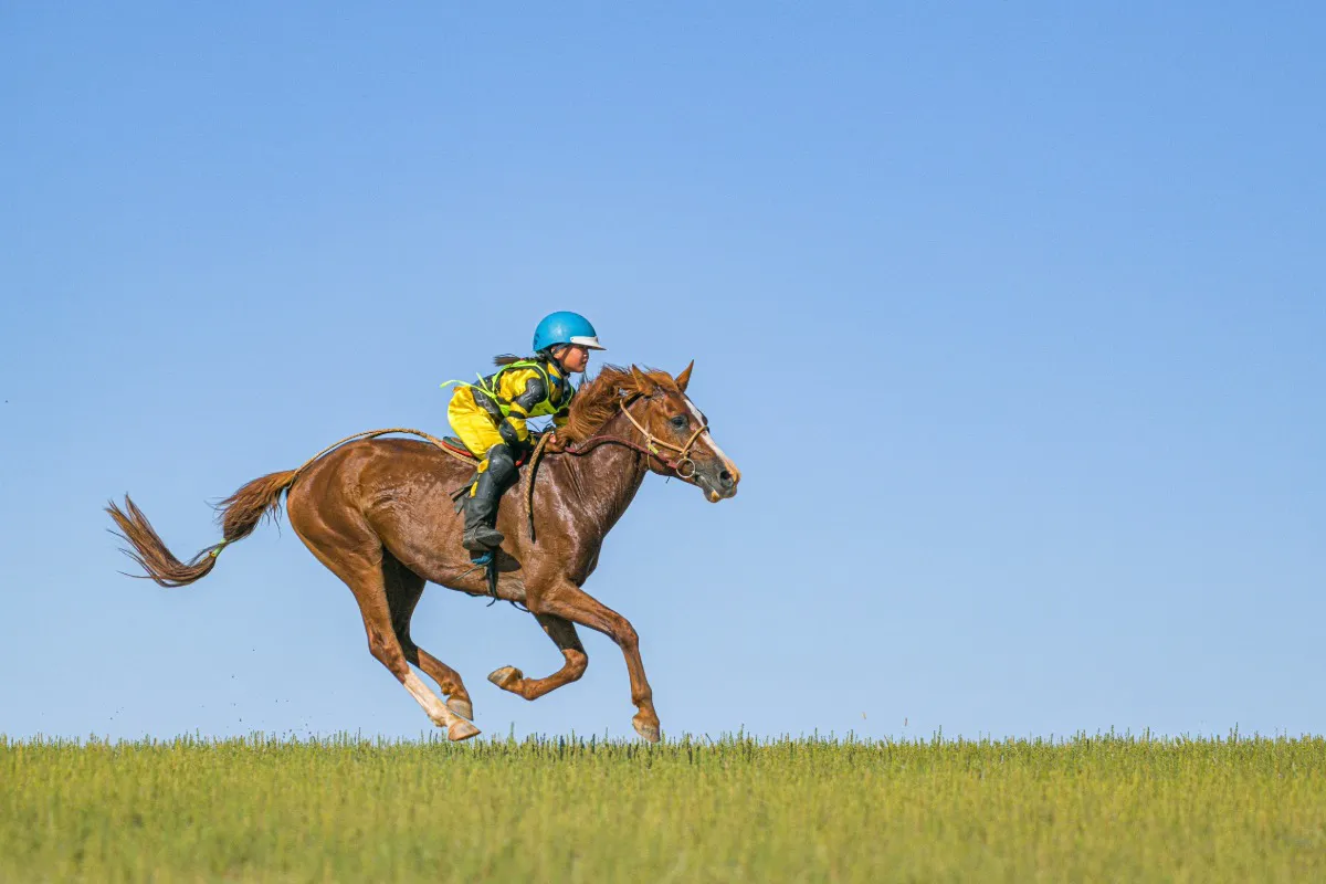 Horse racing