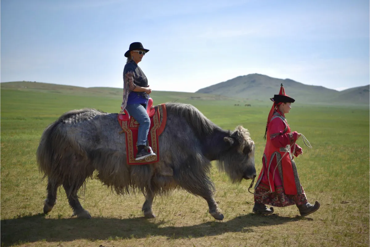 Yak ride trial