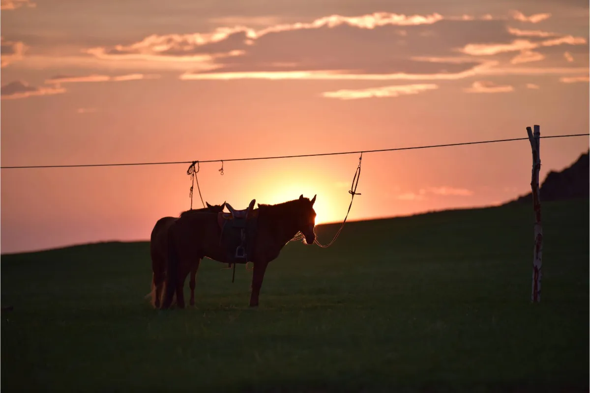 Sunset