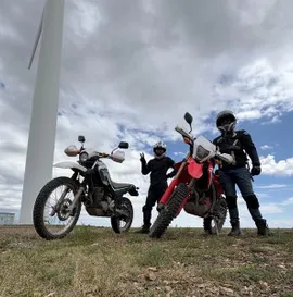 BOSGO BLISS RIDE