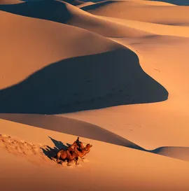 JUST GOBI OVERLAND