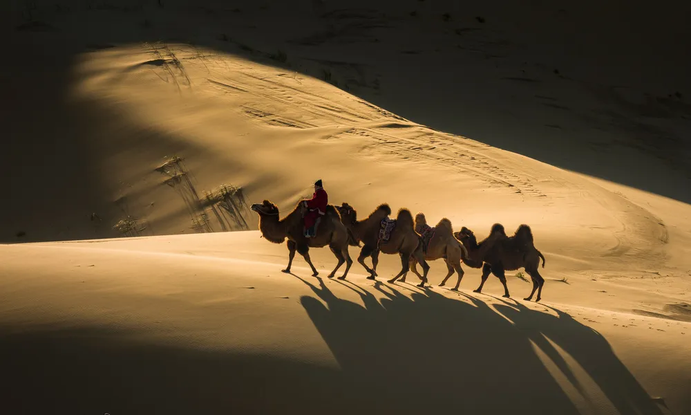 Southern Mongolia