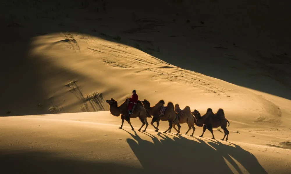 Southern Mongolia