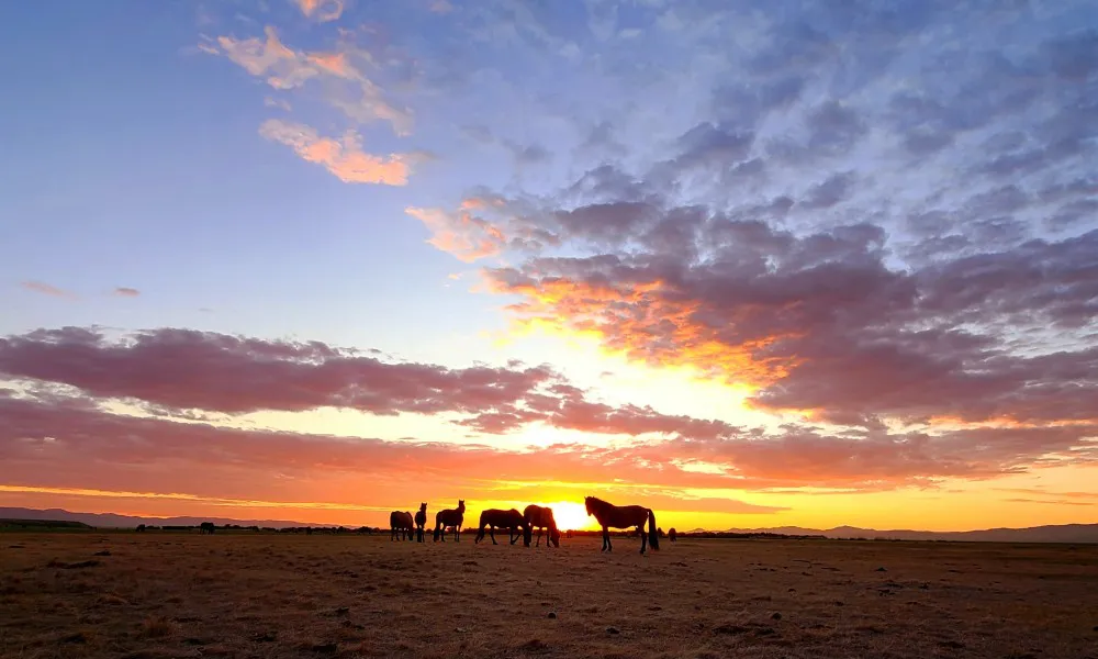 Eastern Mongolia