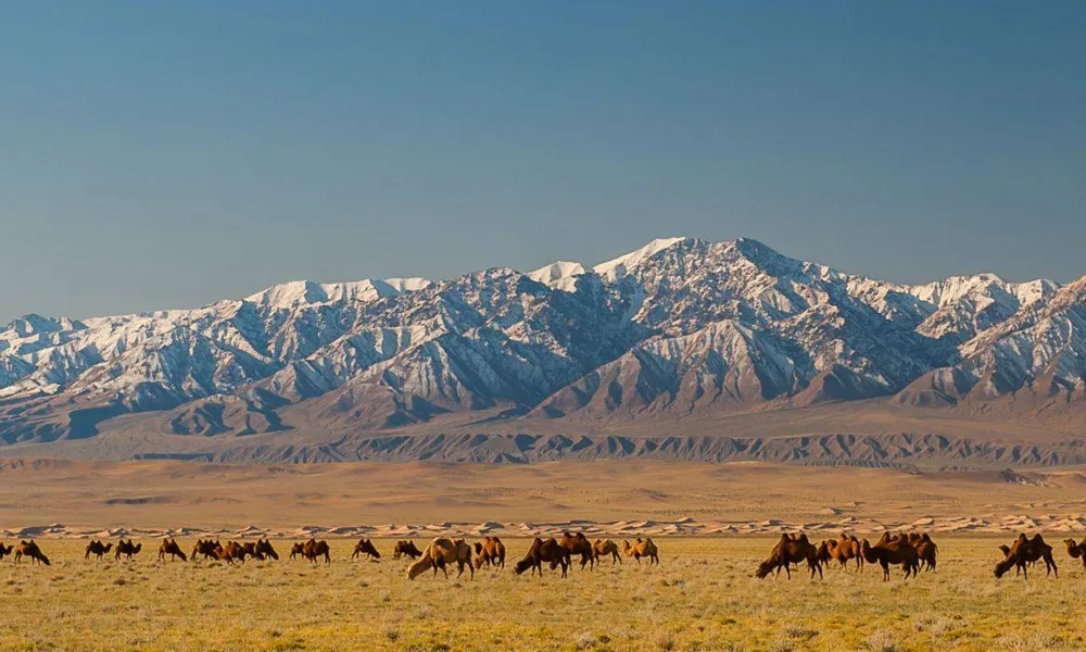 Southern Mongolia