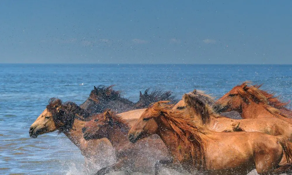 Eastern Mongolia