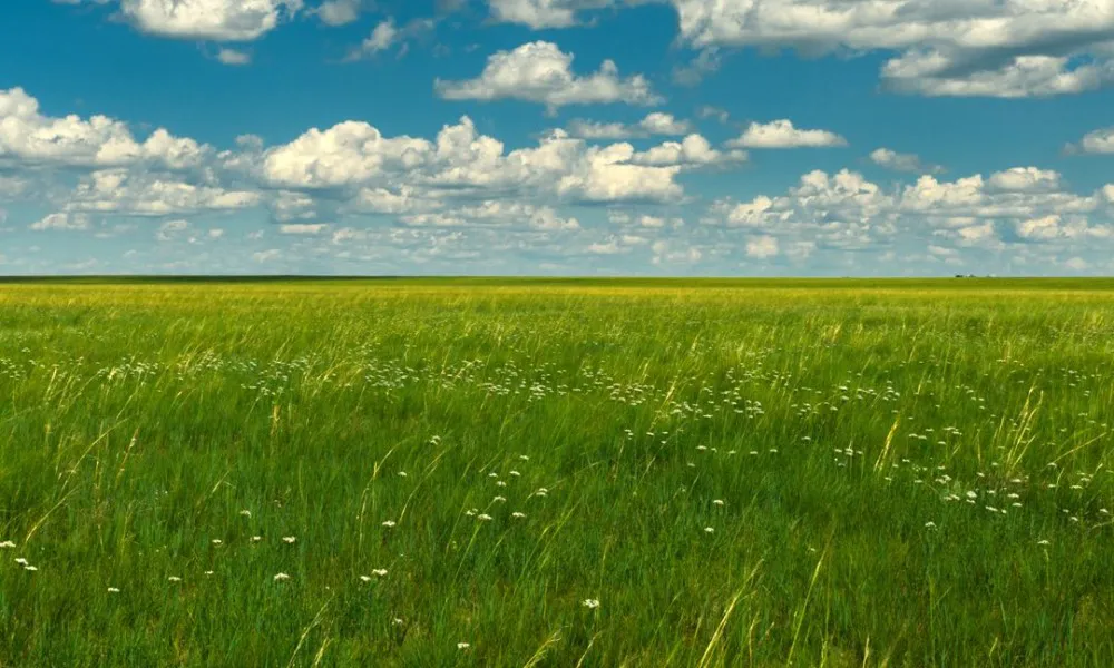 Eastern Mongolia