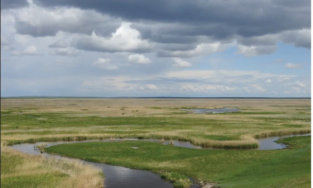 Eastern Mongolia